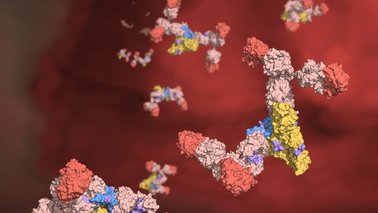 Dimeric sIgA antibodies inside the intestinal gut; secretory IgA immunoglobulins against red background 3d render. Image Credit: Adobe Stock Images/huenstructurebio.com