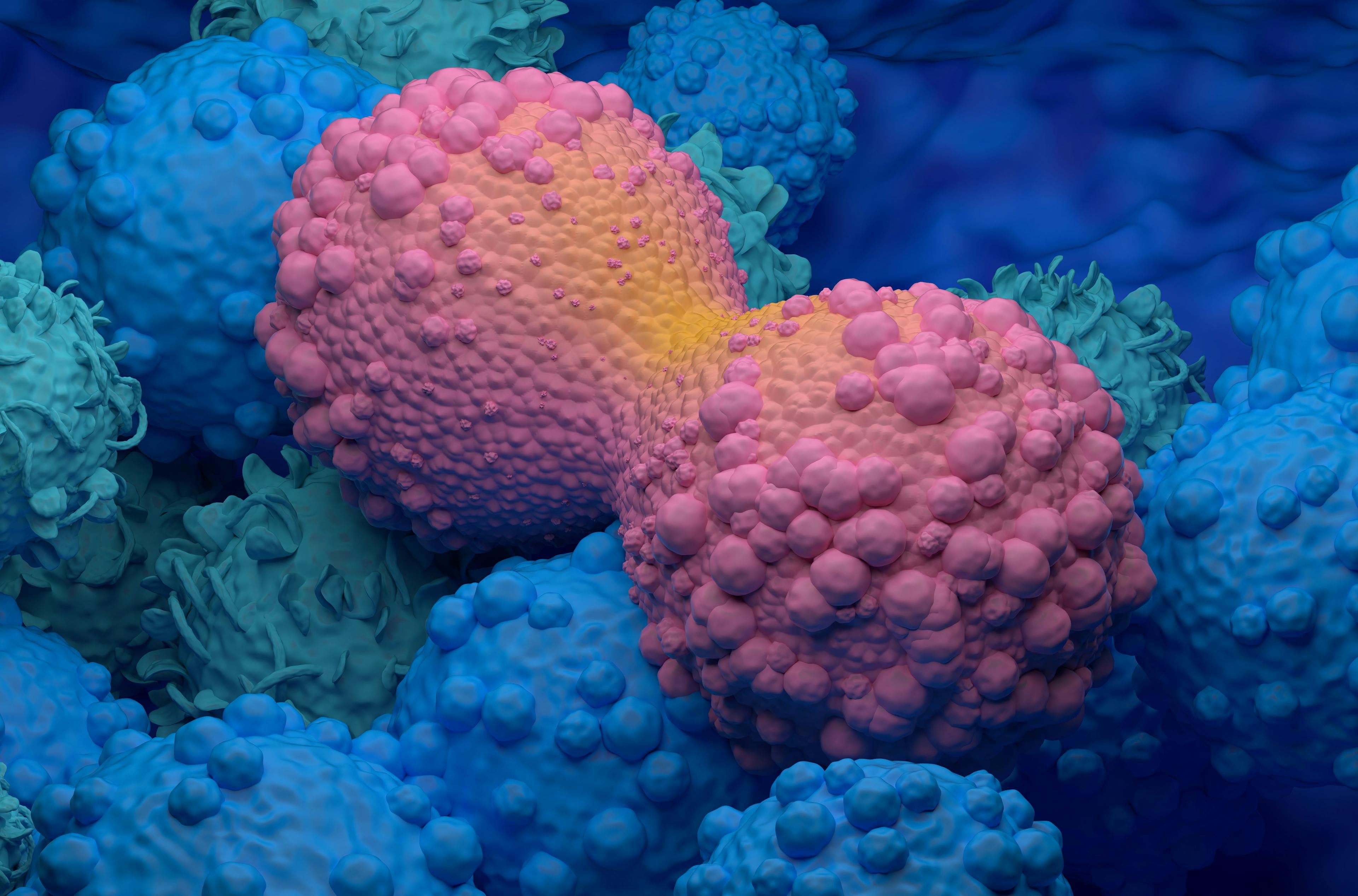 Image credit: LASZLO | stock.adobe.com. Dividing breast cancer cell closeup view 3d illustration